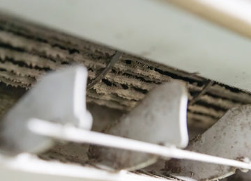 HVAC MOLD Here is what you need to know Part 1