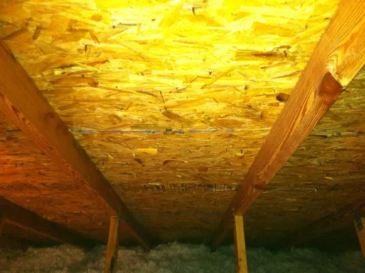 attic after mold remediation treatment