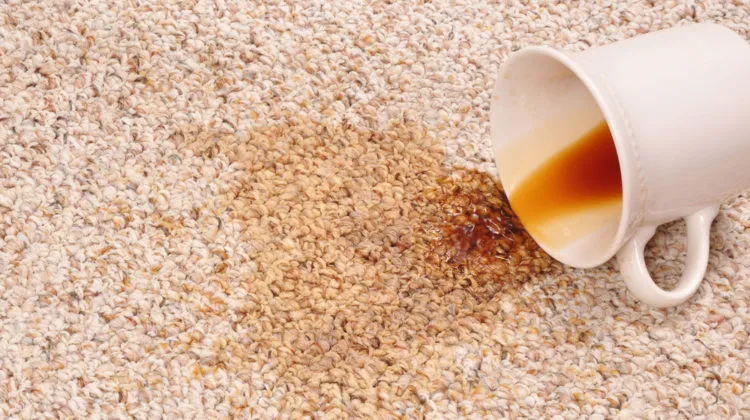a cup of coffee spilled on a carpet