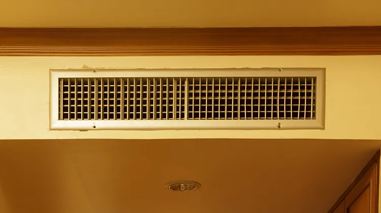 HVAC Mold: Here is What You Need to Know Part 2