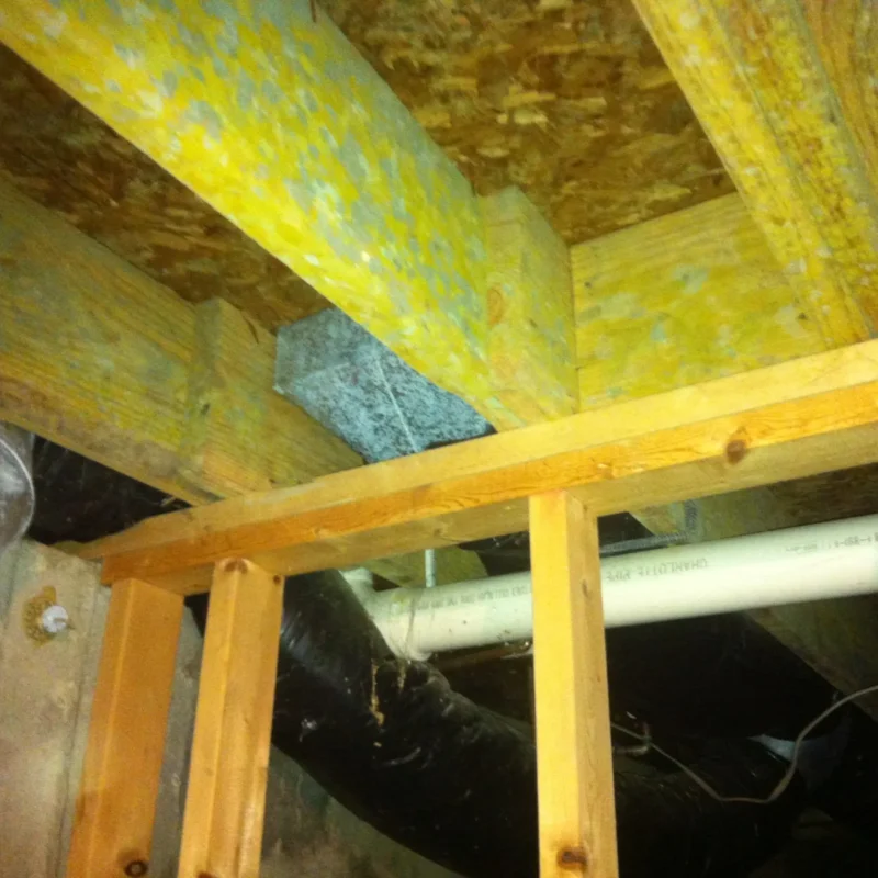 crawl space or basement with green powdery mold on floor joists