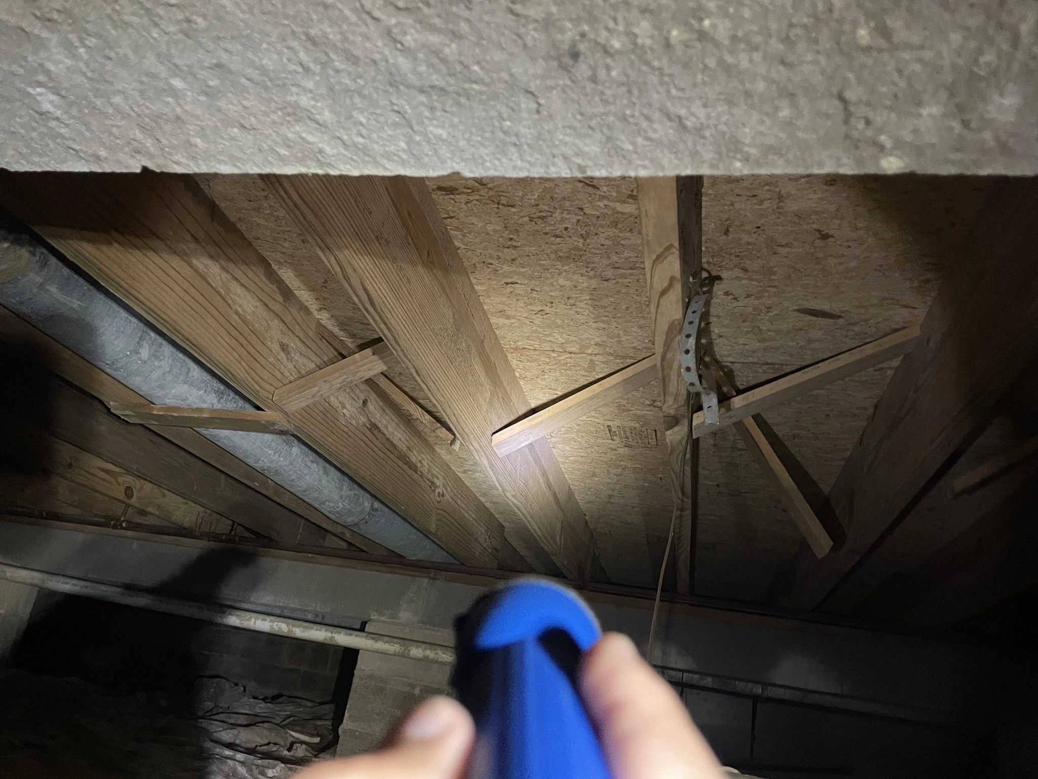 Indiana Mold Remediation photo 5