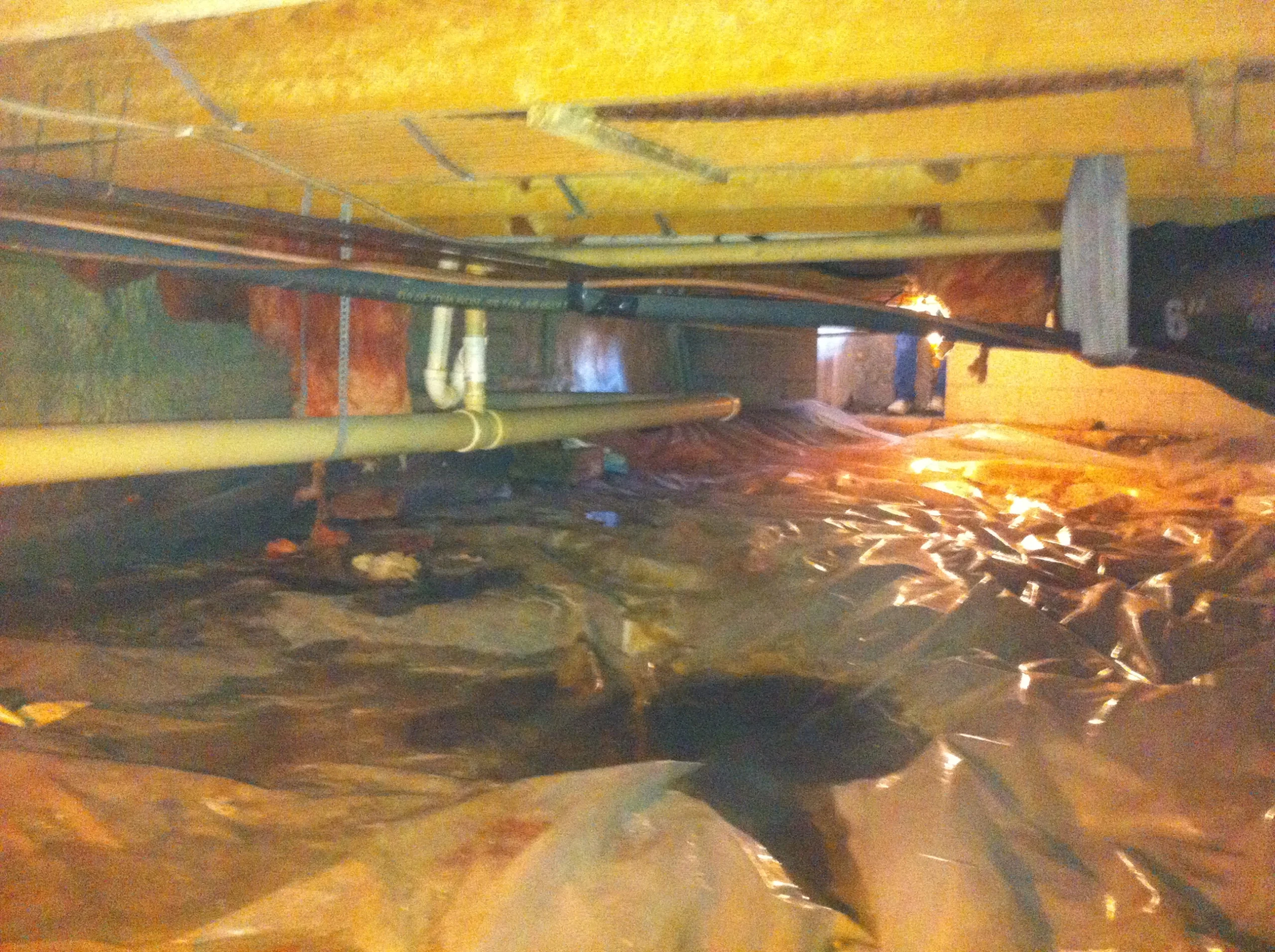 Diy Crawl Space Cleaning Guide - Indiana Mold Remediation