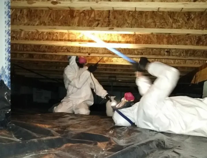 Mold Treatment for Crawl Spaces & Attics - Indiana Mold Remediation