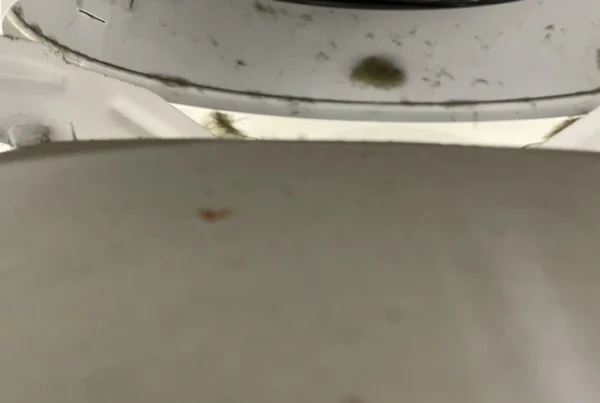 Black fuzz on a commercial air vent in Westfield, Indiana