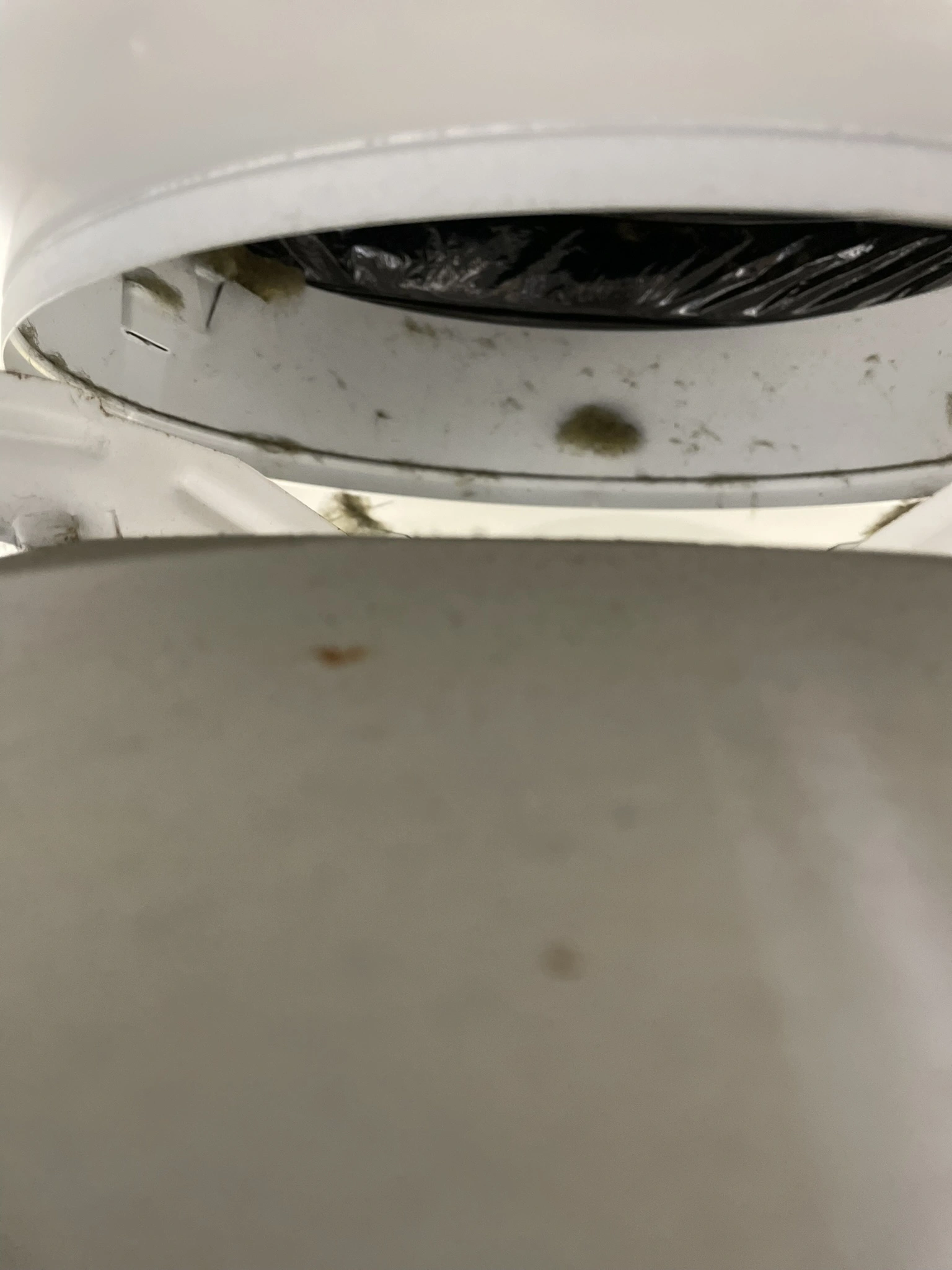 Is This Mold in My Business Air Ducts?