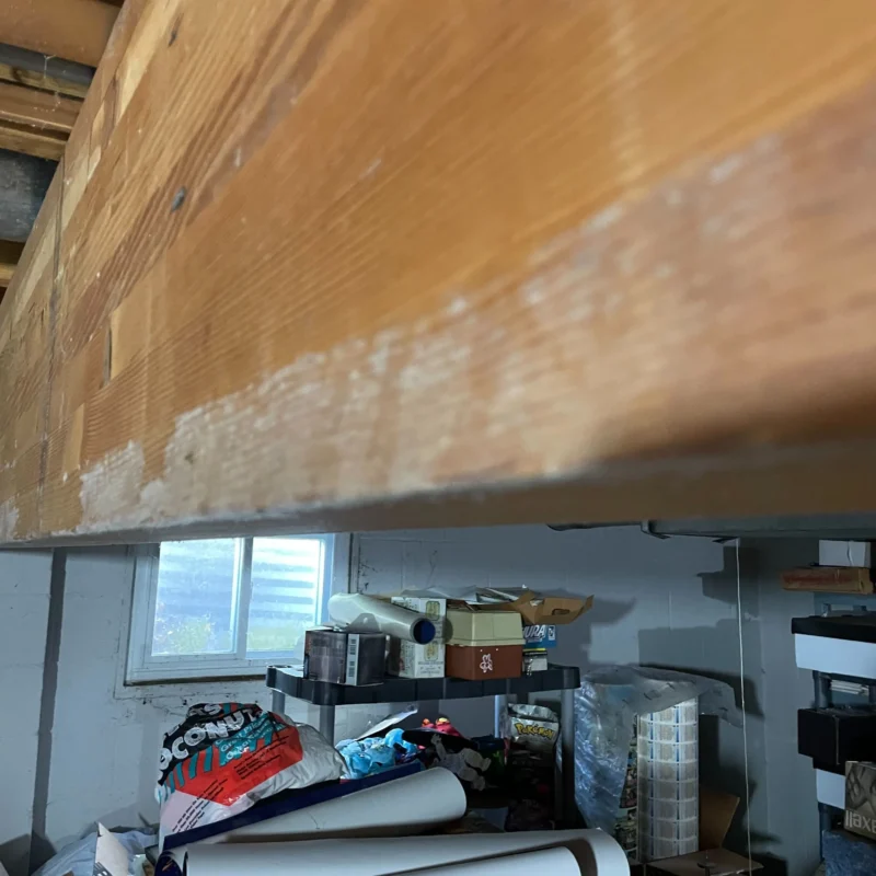 white substance on floor joist in finished basement