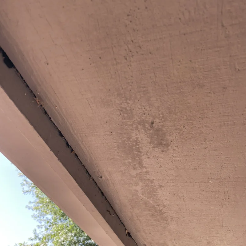 Is this mold on the soffit?