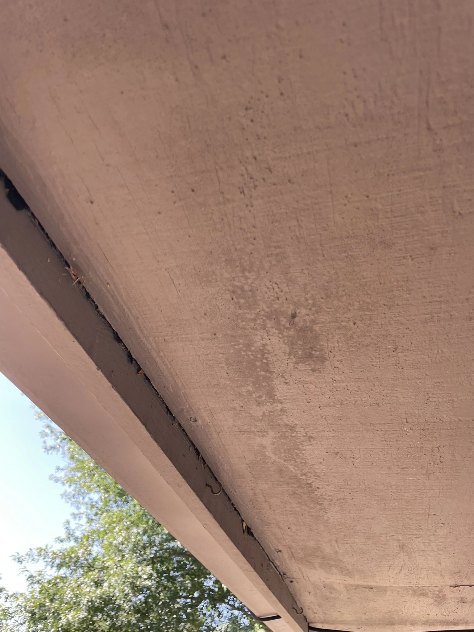 Is This Mold on My Home’s Soffit?