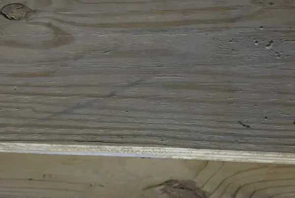 Area to be tested for mold on crawl space joist